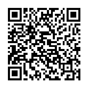 是因为我还没有说中他内心深处最阴暗的一个想法儿二维码生成