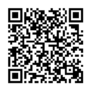 是因为没有谁敢于尝试让真仙剑胚变成无剑灵状态二维码生成