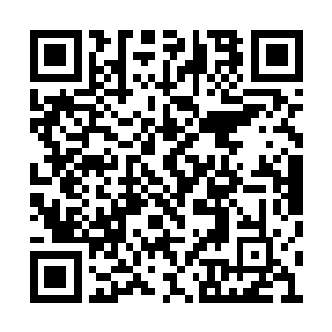 是因为百年前的那个旺多姆领主曾经对她有大恩二维码生成