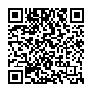 是因为知道要对牛有德动手而感情上难以接受吗二维码生成