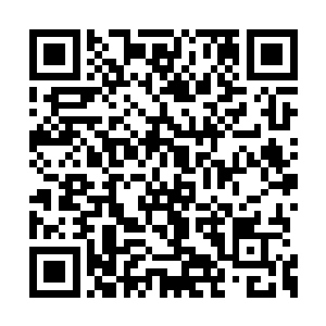是因为神圣冰岛王国在某些人的眼中越来越肥了二维码生成