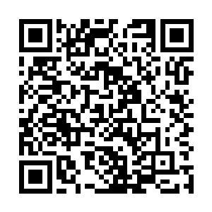 是因为这个人的应聘简历中介绍说她跟边学道有过交集二维码生成