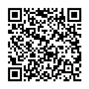 是因为这个厨子看起来不仅完全没有害怕的意思二维码生成
