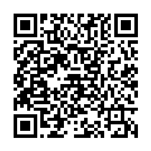 是因为都看出来了赵氏武器铺精品武器的庞大潜力二维码生成