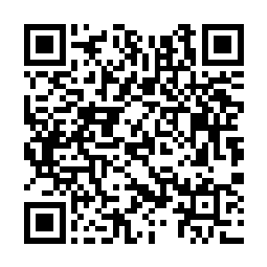 是因为陈观知道该银行有一个专门储藏黄金的地窖二维码生成