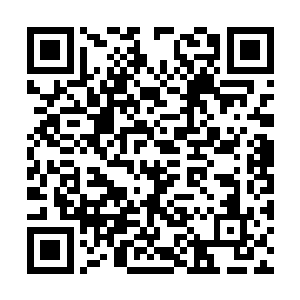 是因为高扬想趁着这个机会去格罗廖夫的家里一趟二维码生成
