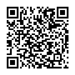 是因为黑夜里的隐蔽同时也会让人看不清周围的机关陷阱二维码生成