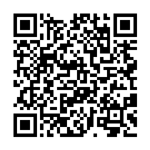 是因吞噬了所有的墨蝰藤的精华之毒后才进化成功的二维码生成