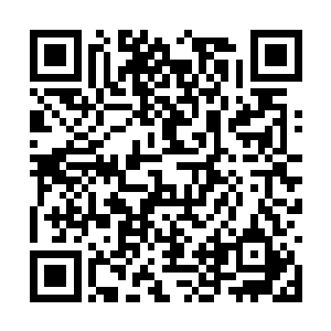 是圣母联盟用了种种手段才左右了民众的舆论导向二维码生成