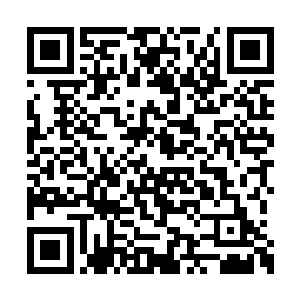 是圣菲亚将我那些很不成熟的想法运作成了事实二维码生成