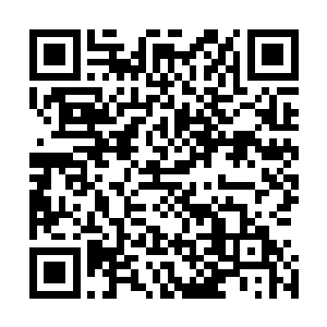 是在当日溜号了的血妖姬们在东胜神州寻到了一处氛围不错二维码生成