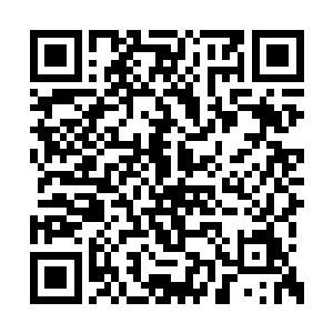 是在老爷子知道你在渭水一战后被寂灭之雷击中二维码生成