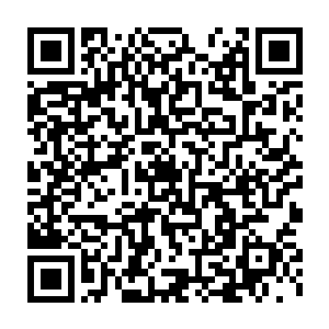 是太子和九皇子想要刻意拉拢侯府呢还是这三娘身上真有什么特别魅力二维码生成