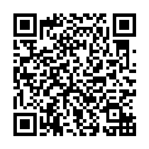 是太虚剑拥有了金水土木雷光六个属性剑灵融合之后的一剑二维码生成