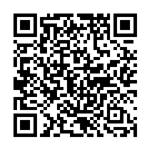 是奴婢看不惯世子总是在太子和娘娘面前趾高气扬二维码生成