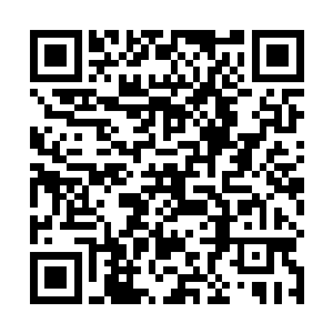 是她不辞辛苦一个班级一个班级地讨要大家的签名……二维码生成