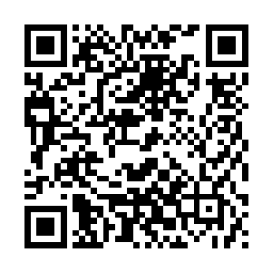 是她们在高喊要为丈夫报仇＿喊是她们女人杀死了这么多is军二维码生成