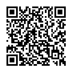 是她刚学下厨不久的时候吴叔和吴婶一起送她的二维码生成