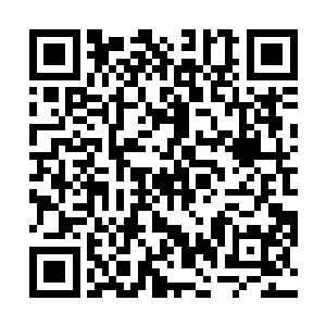 是她费尽心机将人从临近泥潭的边缘地带生生拉了回来二维码生成