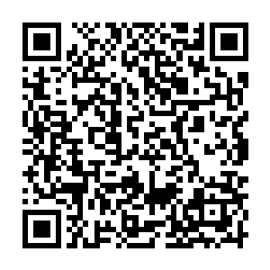 是她这数十万年来每年给珞珈山药圃还有西方教一些重要的药山普降甘霖之后二维码生成