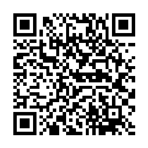 是如今距离圣一失踪才过去短短数十个呼吸时间而已二维码生成