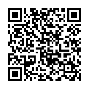 是如何在这个蝇营狗苟的世界里是如何挣扎着生活的二维码生成