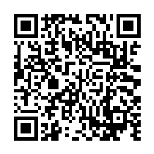是安娜亲自从白河谷地的一户户农家中挑选出来的好苗子二维码生成