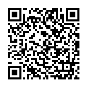 是寒仙门下一代拥有压倒性力量统制天下门派的保证二维码生成