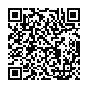 是小甲亲手交给她的呢……若是直接跟对方走的话二维码生成