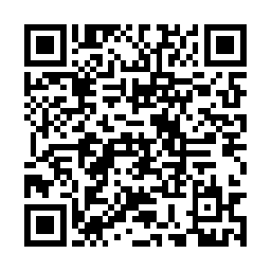 是少数在这圈子里面没有和其他女艺人传过绯闻的二维码生成