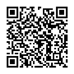 是属于用史诗级战争大片侵袭我们的雷德利斯科特二维码生成