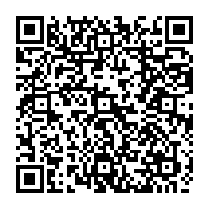 是山顶雄风最真实的书――整个现象以及人类都远在它下面――而且也是最深邃的书二维码生成