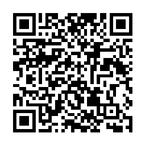 是库巴大君从上古武库中找到了一份魔女基因和……二维码生成