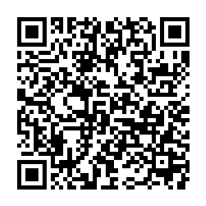 是建立在野怪等级等于一局比赛中所有玩家平均等级这个前提之上的二维码生成