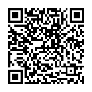 是必然会遭到那个等级里的一些老佣兵团的洗礼的二维码生成