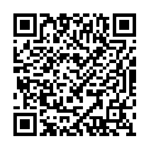 是您让我们这群迷途的羔羊脱离了暴风雨的危险二维码生成