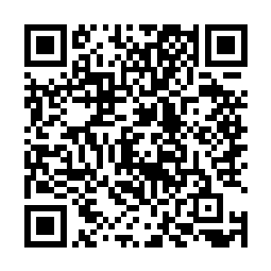 是想知道千机真人张铁拿出来的这些蚯蚓到底有没有用二维码生成