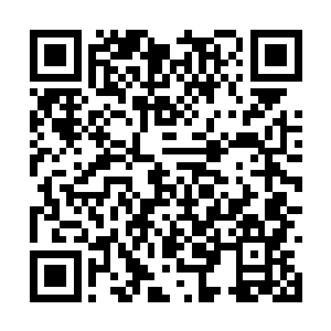 是想要跟你谈谈之前的一件关于我们家凝雨的事情二维码生成