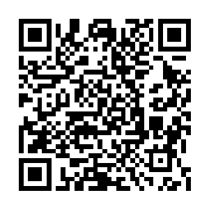 是慕芊雪刚才炼制长生玄丹的时候有意留下来的二维码生成