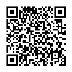 是成百万上千万扶老携幼衣衫褴褛哭天抢地的华族百姓二维码生成