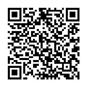 是我朋友想要让我确认这棵树是否真的没什么用途了二维码生成