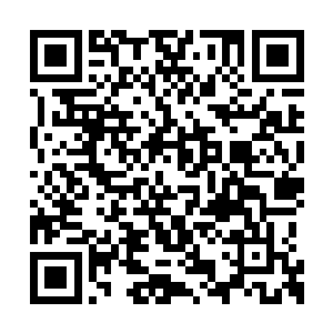 是我的错・・・・・・都是我的错・・・・・・二维码生成