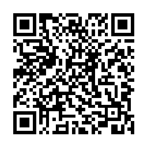 是我的错觉吗……自从那个疯不觉开始念叨奇怪的咒语后二维码生成