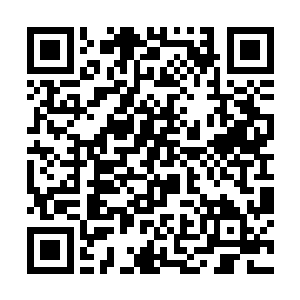 是我让你能够来到这个地方你命中注定不能杀死宙斯二维码生成