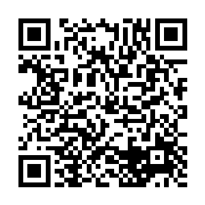 是我逃出来的……其他师弟为了让我逃走……都死了二维码生成