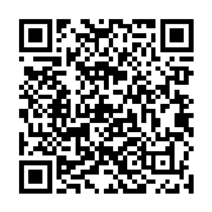 是所有人都会敌视的……一旦被人发现他修炼了修罗道二维码生成