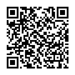 是打算尝试一下不动如山这招防守剑技的防守极限二维码生成