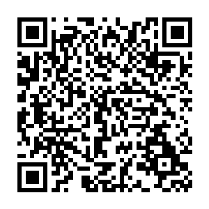 是担心那个血魔宗的太上长老会偷袭……以至尊境后期巅峰的修为二维码生成