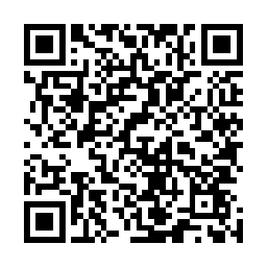 是指修士御剑飞行或者任何使用法术的神行术御空术什么的二维码生成
