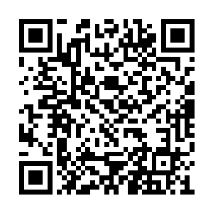 是故意趁着太夫人安歇之后才动了念头要勾搭蓝二维码生成